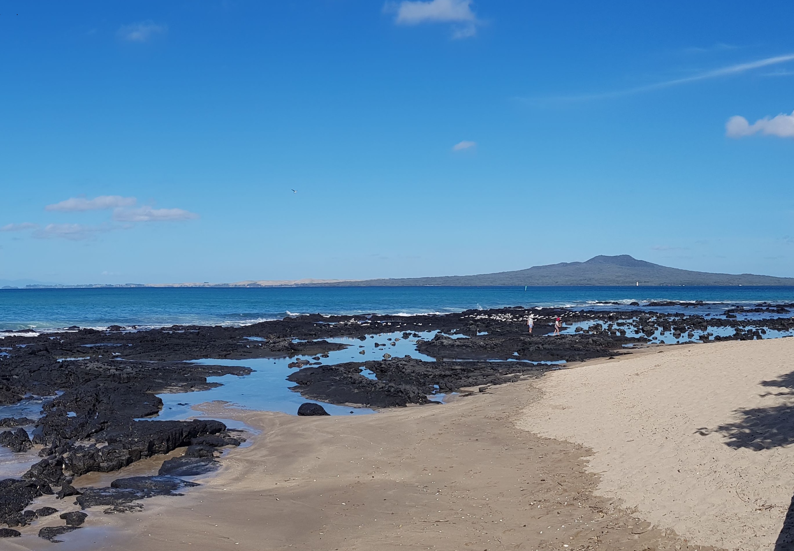 Takapuna Lava Fields