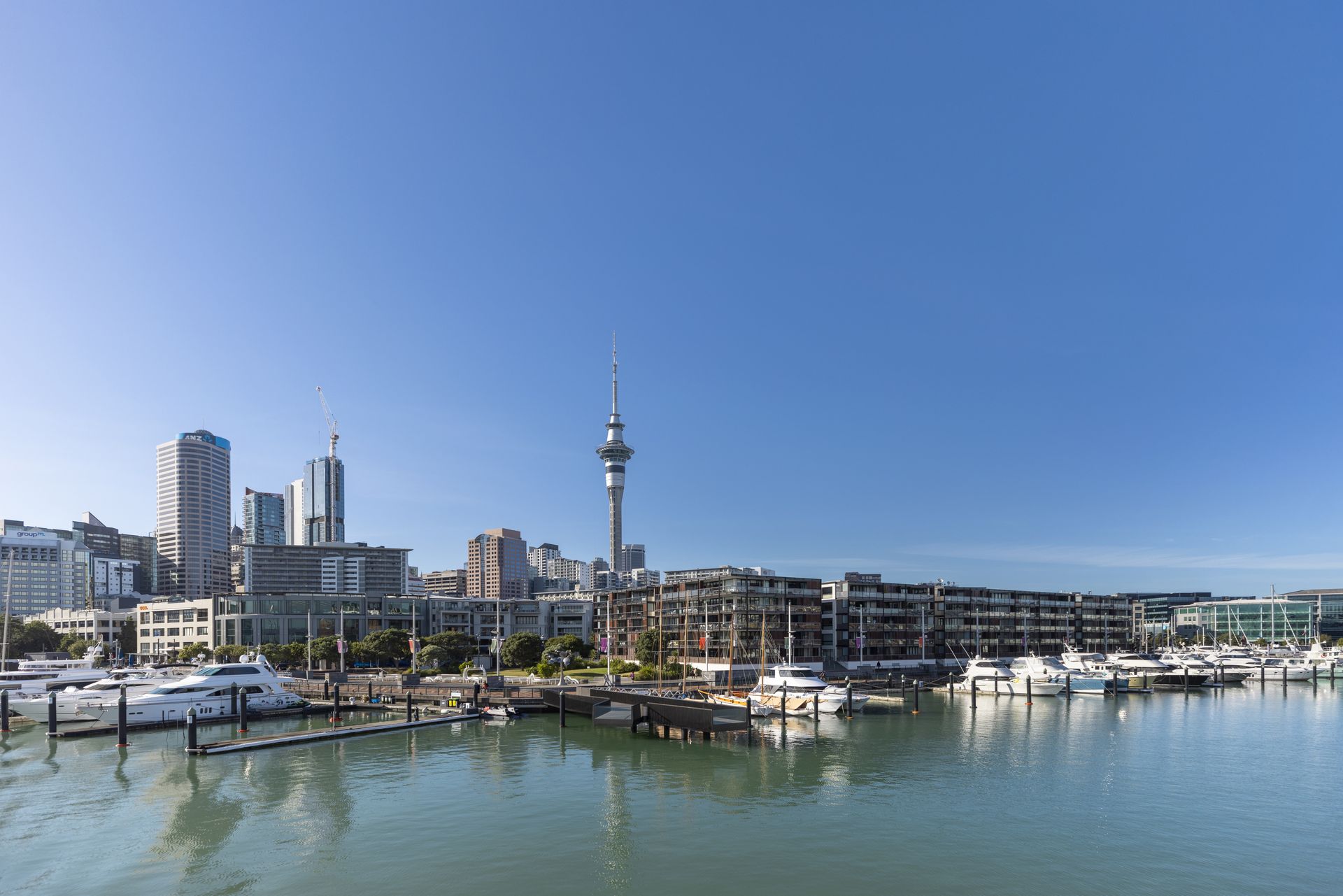 Auckland City Pick Up