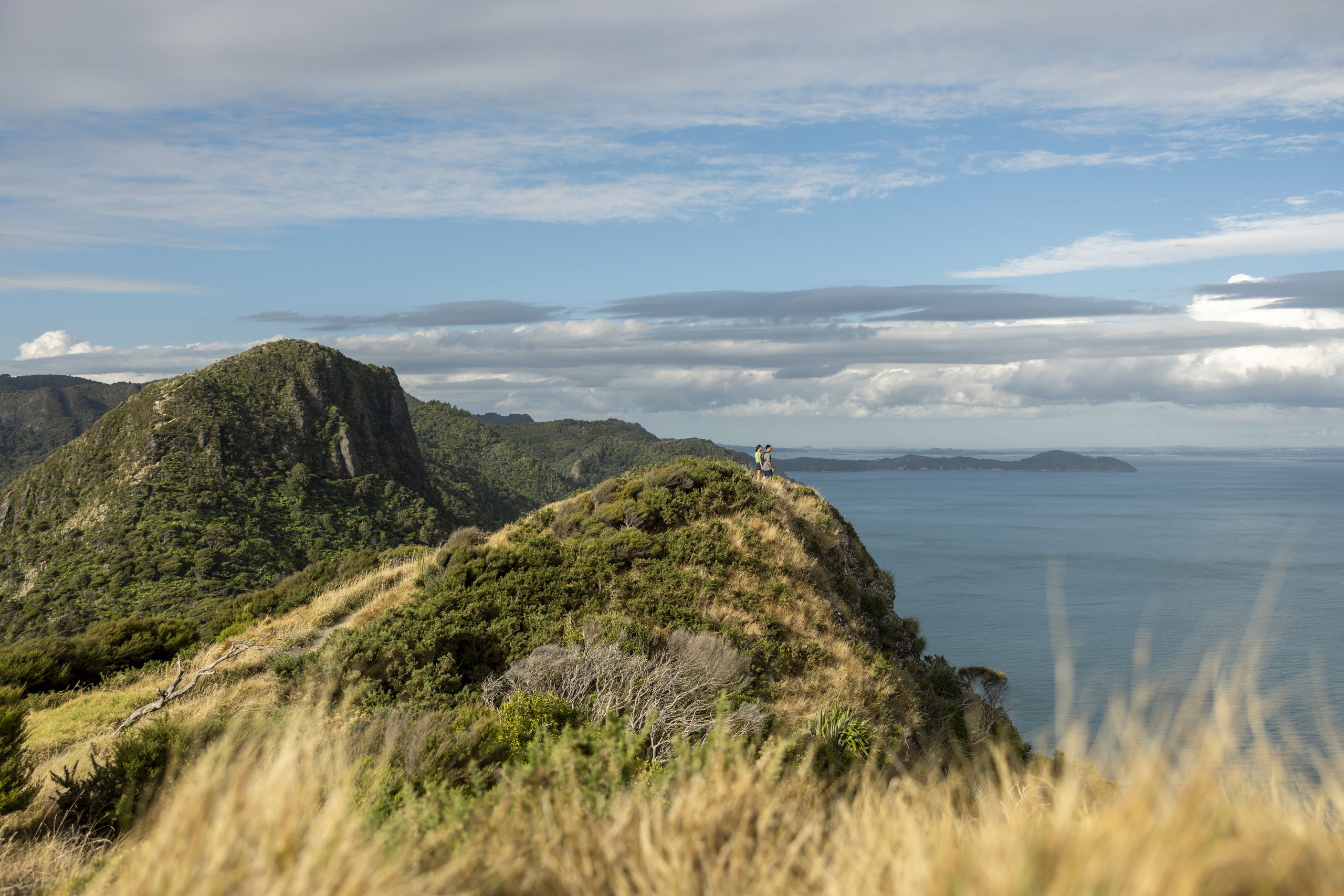 Manukau Heads Up